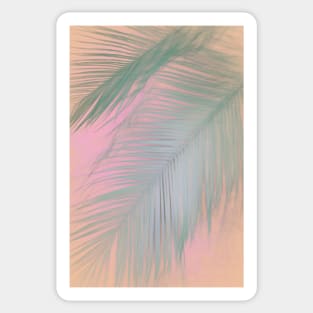 Pastel Palm Leaf Sticker